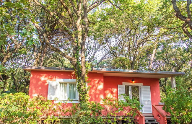 Resort Riva degli Etruschi - Foto 72