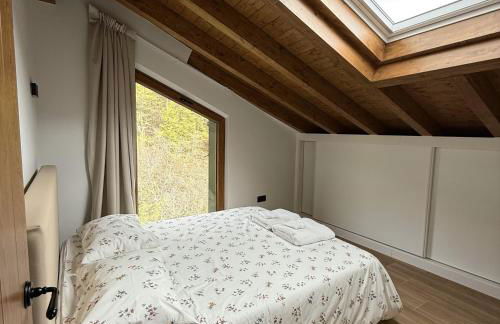 La era de Somaniezo - Foto 26