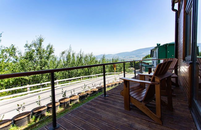 Malak Farma - Foto 16