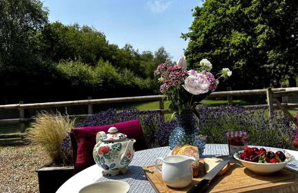 Cottage near Corfe & Jurassic Coast - Foto 8