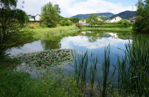 Le gîte et l'étang de pêche - Foto 28