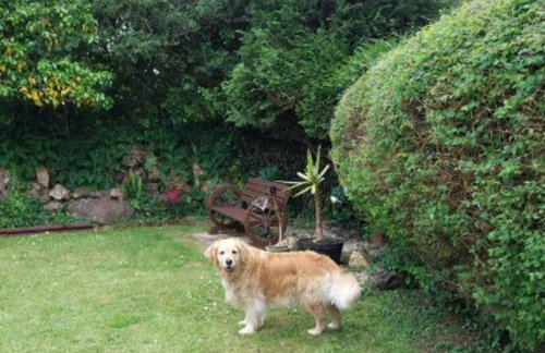 1 Bed Caravan Sleeps 2 -Dog Welcome -Free Parking - Photo 35