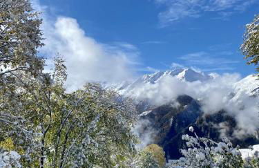 Le Flocon Grand Chalet 4 étoiles - Foto 36