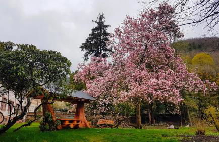 L'echappée Verte - Photo 34