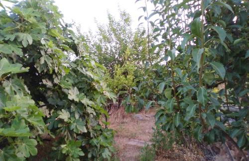 Casa de los abuelos - Foto 59