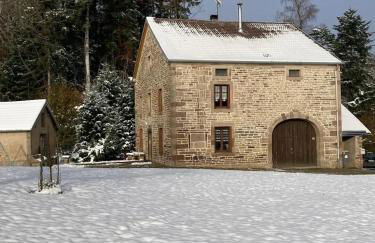 Maison à Fougerolles-Saint-Valbert avec jardin - Foto 19