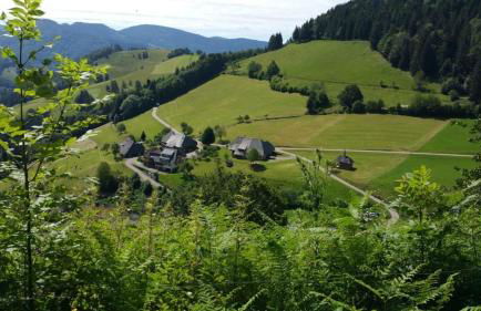 Haus Föhrenbach - Foto 21