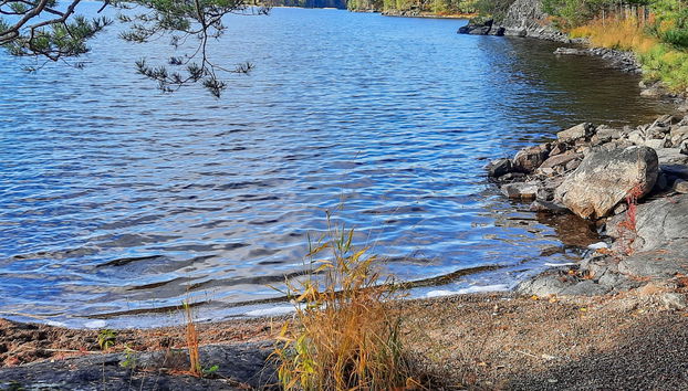 Lomasuvas - Photo 3, Inside other