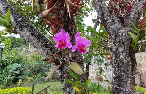 Residencial Flor- Hilda - Foto 1