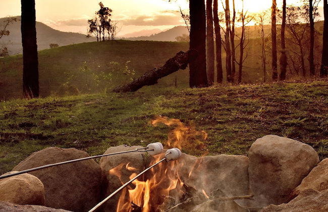 Ketchup's Bank Glamping - Foto 8