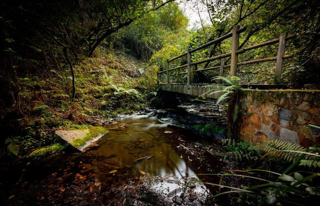 Casa Brais - Photo 45