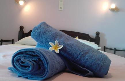 Plumeria Flowery - Foto 14