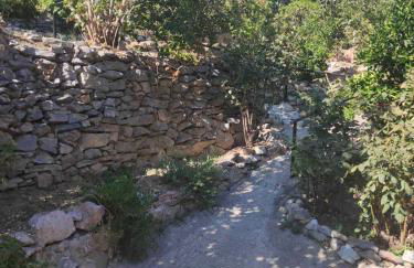 Πέτρινο Αλώνι - Foto 38