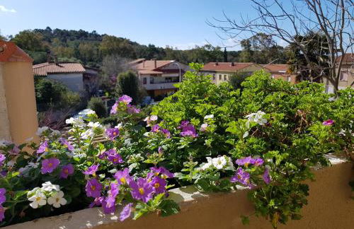 Piero's Apartment - Foto 30