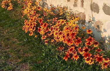 Le clos des anges - Foto 19