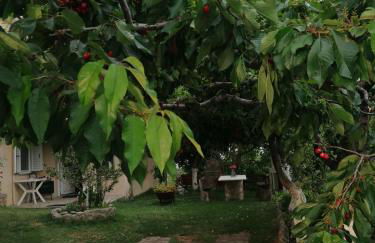 Meteora's sunset - Foto 11