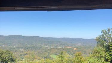 Harper Tree Top - Foto 5