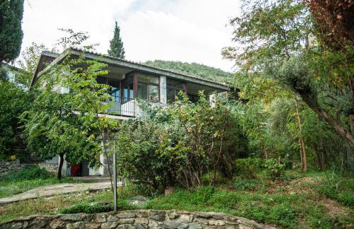 Studios Kyparissi & Spa - Photo 10