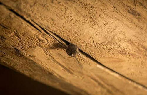 L'Angoletto dei Calanchi - Foto 13