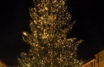 Casa Vostra - Photo 12