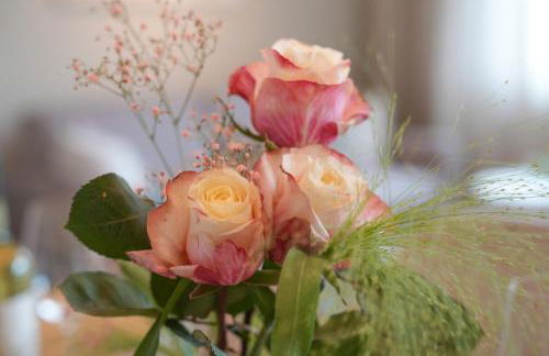 101-Freiburg - 2 Appartements - Foto 7