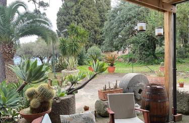 Bouganville in Villa Greco - Foto 55