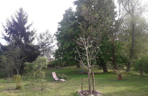 OG Die alte Stadtmühle direkt an der Flämingskate - Foto 17