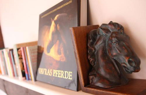 Ferienhaus Landeskrone für 10 Personen mit Sauna, Terrasse, inkl Parkplatz in Dresden - Foto 43