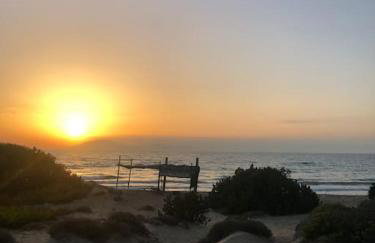 Villa Anastasia! in STROFYLIA pine FOREST!!! - Foto 46