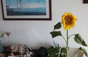 Siviri, the beautiful sunset - Foto 15