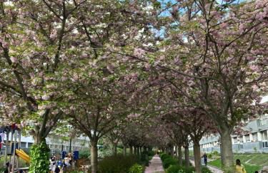 Charming parisian apartment - Foto 17