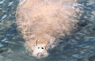 Beautiful Vacation Spot! - Foto 35