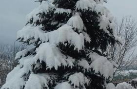 Kuća Za Odmor Barbara - Photo 27