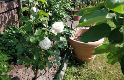 Gästehaus am Teich - Foto 49