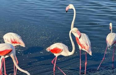 La CASA de Kevin - Torrevieja - Foto 18