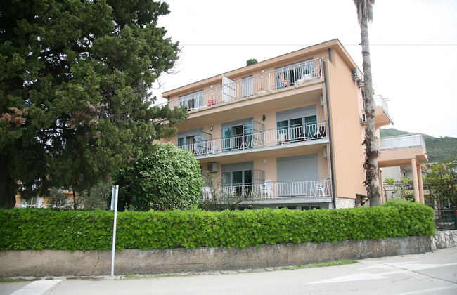 Sea star Danica - Foto 52