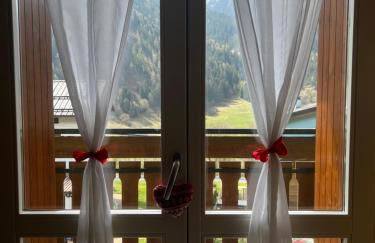 Adamello Verde Holiday Apartment - Foto 16