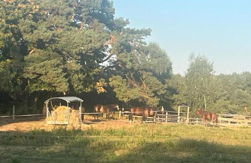 Green Village, App 15 - Urlaubsidyll Benz - Foto 17