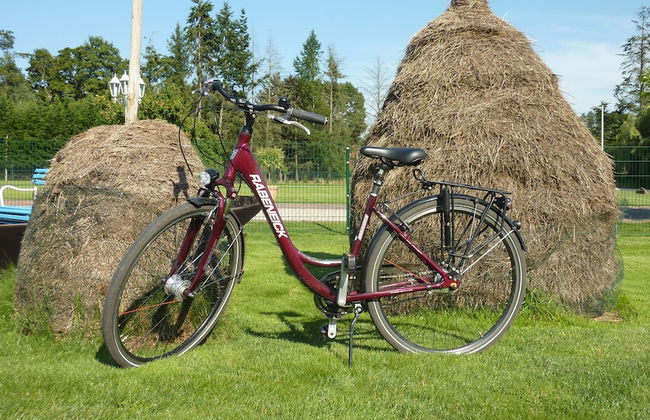 Ferienhof Spreewaldromantik - Foto 28