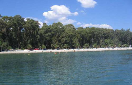 Argoliki Thalassa - Photo 5