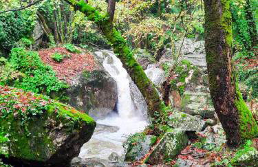 A Dream Deferred villa Pelion - Photo 44