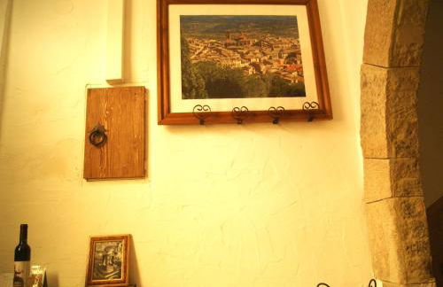 Ave Fénix - Foto 11