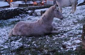 Aldeia de Moura Morta - Foto 54