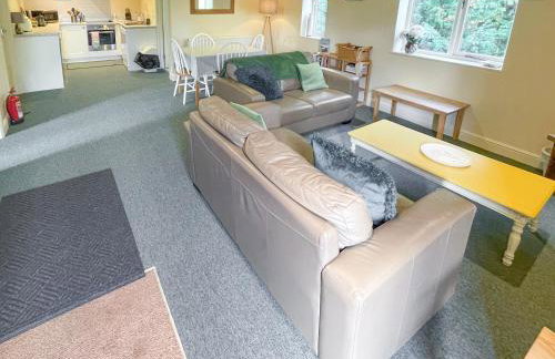 Lily Pad 9 - Uk43919 - Foto 3