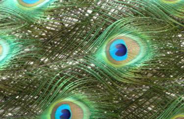 Gites De L'Etang Des Noues - Photo 46