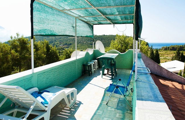 Vila Gerbera - Photo 34