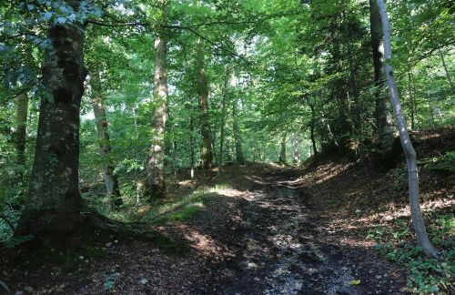 Gîte de l'église à Saint Saëns - Foto 38
