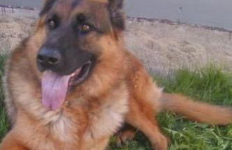 Holiday Home zur Linde by Interhome - Foto 17