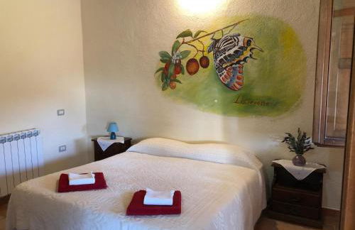 Sa Tanchitta - Foto 16