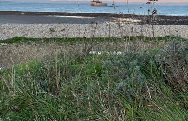 Anchor Cottage, seaside holiday home - Photo 30